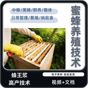 中蜂养殖视频教程技术教学病敌害养蜂王浆蜜蜂饲养加工高产全套