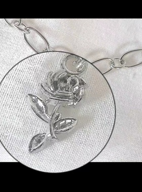 其他女不锈钢合金好看好看好看