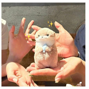 amuse可爱小水獭抱鱼毛绒玩偶挂件公仔礼物李灿送礼可爱创意礼物