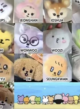 seventeen周边毛绒挂件徐明浩金珉奎尹净汉李硕珉创意玩偶新款