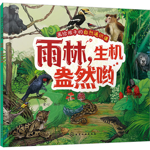 雨林,生机盎然哟 绘本 少儿 化学工业出版社