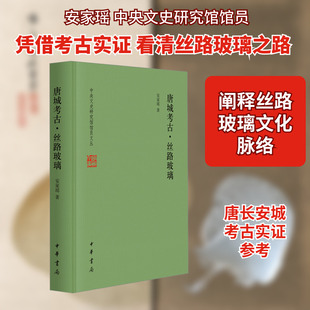 唐城考古·丝路玻璃（精）--中央文史研究馆馆员文丛/安家瑶著