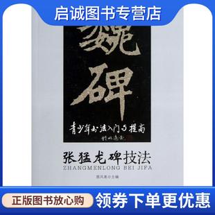 正版现货直发青少年书法入门与提高 张猛龙碑技法 雅风斋 编 9787508284088 金盾出版社