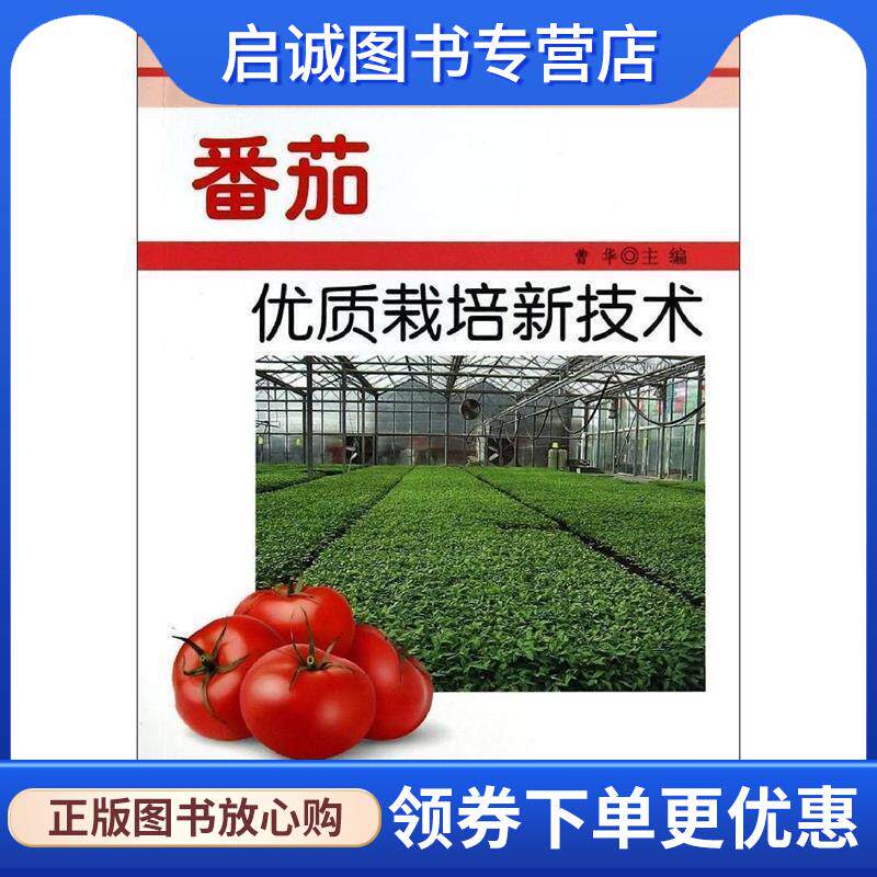 正版现货直发番茄优质栽培新技术·农业科技创新实用技术丛书 曹华 9787508290584 金盾出版社