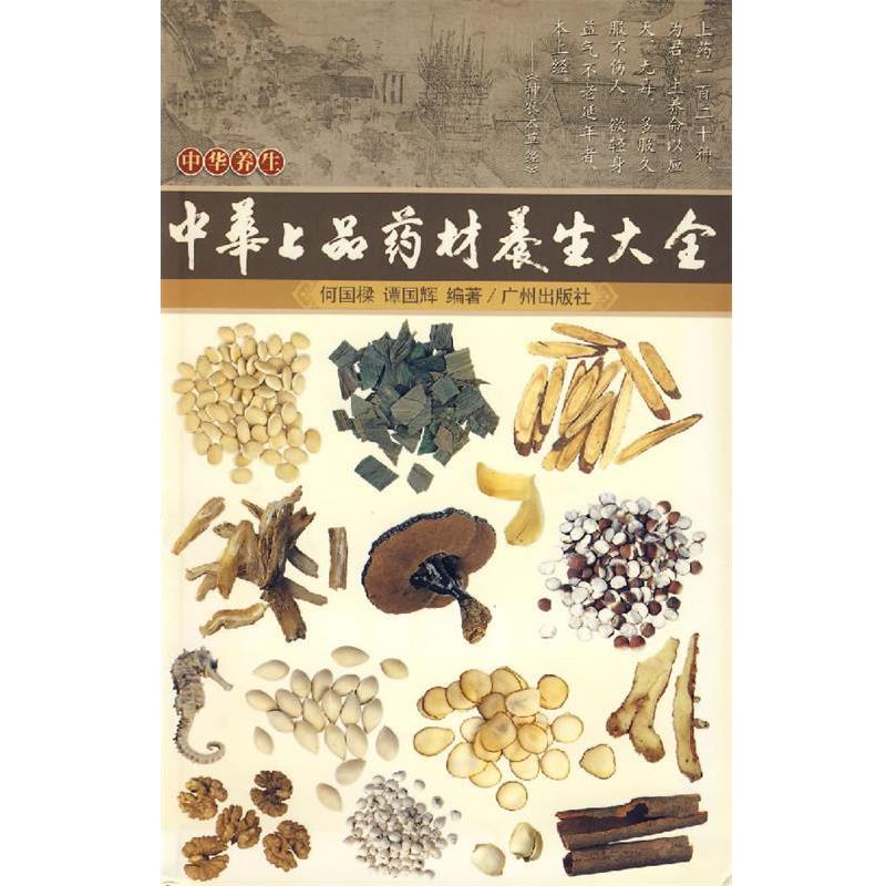 正版现货直发中华上品药材养生大全 何国樑,谭国辉 著 9787807312925 广州新华出版发行集团，广州出版社