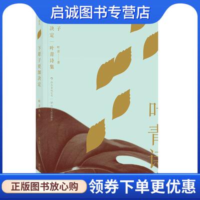 正版现货直发下辈子更加决定:叶青诗集 叶青 9787220104107 四川人民出版社