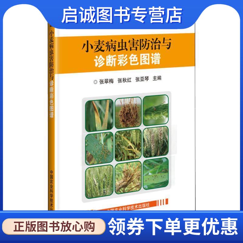 正版现货直发小麦病虫害防治与诊断彩色图谱 张翠梅,张秋红,张亚琴 9787511635365 中国农业科学技术出版社