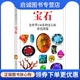 彩色图鉴 全世界130多种宝石 猫头鹰出版 社 公司9787505713192 正版 中国友谊出版 现货直发宝石