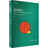 保罗·达利奥 桑德罗·坎皮戈托 智力开发 少儿 社 好玩数学 湖南科学技术出版 意