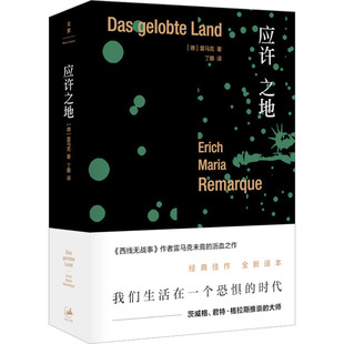 应许之地 (德)埃里希·玛丽亚·雷马克 外国现当代文学 文学 上海人民出版社