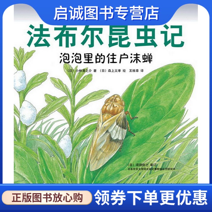 正版现货直发美的法布尔昆虫记:泡泡里的住户沫蝉,(日)小林清之介,(日) 森上义孝 绘,王维幸,新星出版社9787513304795