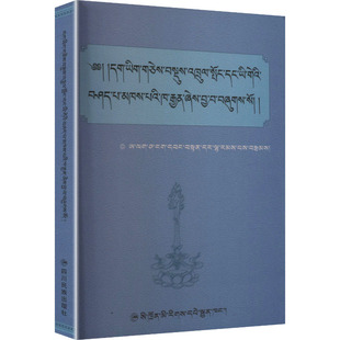 藏文正字法:阿拉善·阿旺丹达 著语言-少数民族语言文教四川民族出版社
