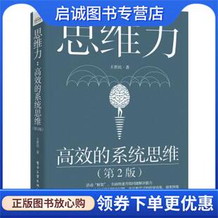 正版现货直发思维力：高效的系统思维 王世民 著 9787121417511 电子工业出版社