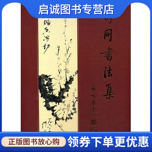正版现货直发 舒同书法集9787501018017王云飞,文物出版社