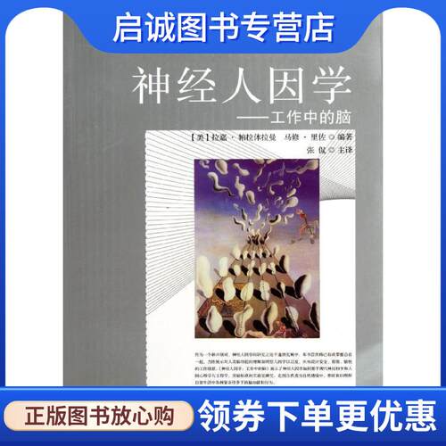 正版现货直发神经人因学：工作中的脑 （美）柏拉休拉曼　等编著,张侃　译 9787564131975 东南大学出版社