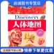 破译生命 人体地图 密码 学生探索者 9787546332390 正版 编委会 现货直发学生探索者2