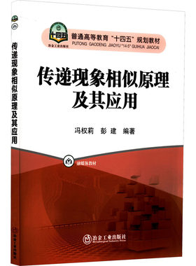 传递现象相似原理及其应用：大中专公共社科综合 大中专 冶金工业出版社