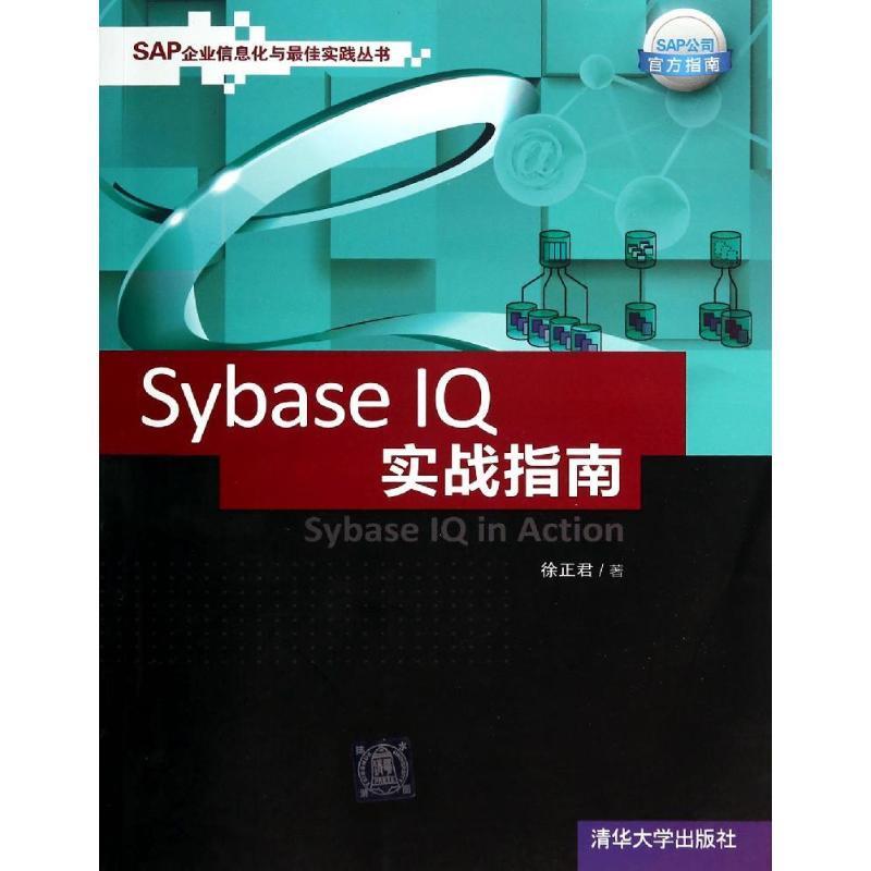 Sybase IQ实战指南徐正君著清华大学出版社 9787302364160正版现货直发-封面