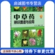 主编 翟延君 中药学 生活 社 中草药辨识图谱与应用 辽宁科学技术出版 谢明