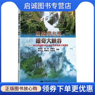 正版现货直发震撼腾龙洞雄奇大峡谷--湖北恩施腾龙洞大峡谷国家地质公园探秘 鄢志武,罗伟,杨镇全,黄世吉,韩道山等 9787562553854