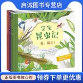 贝雅伯尔·奥夫特林 著 伊莎贝尔·米勒 正版 燕娜·瓦尔兹克 德 9787501616121 绘 现货直发宝宝昆虫记 天天出版 社有限责任公