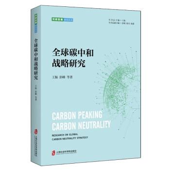 正版现货直发全球碳中和战略研究 王振,彭峰 9787552039542 上海社会科学院出版社