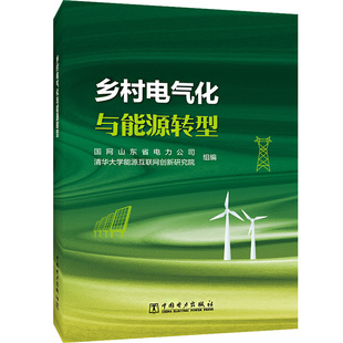 乡村电气化与能源转型 水利电力 专业科技 中国电力出版社9787519869069
