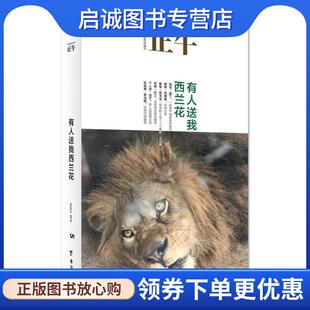 正版现货直发正午5:有人送我西兰花 正午故事 著 9787516817674 台海出版社