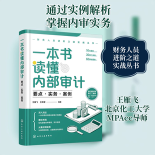 一本书读懂内部审计 要点·实务·案例会计经管、励志化学工业出版社