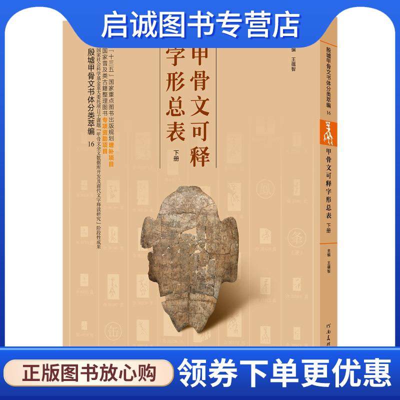 正版现货直发甲骨文可释字形总表 殷墟甲骨文书体分类萃编 王蕴智 编 9787540142094 河南美术出版社