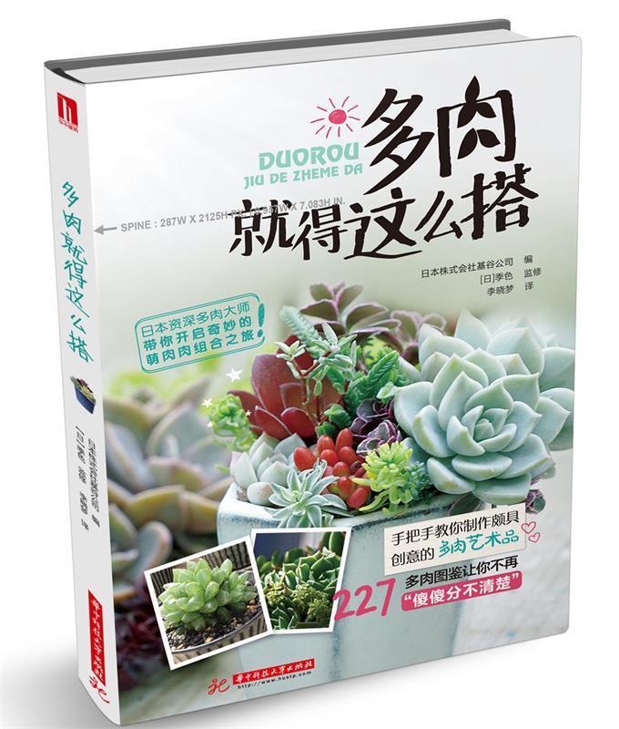 多肉就得这么搭 日本株式会社基谷公司 著,李晓 梦 译 华中科技大学出版社 9787568028356 正版现货直发