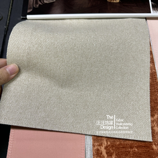 比利时进口bru 塔伊詹Taycan 906棉绒雪尼尔窗帘沙发抱枕床品面料