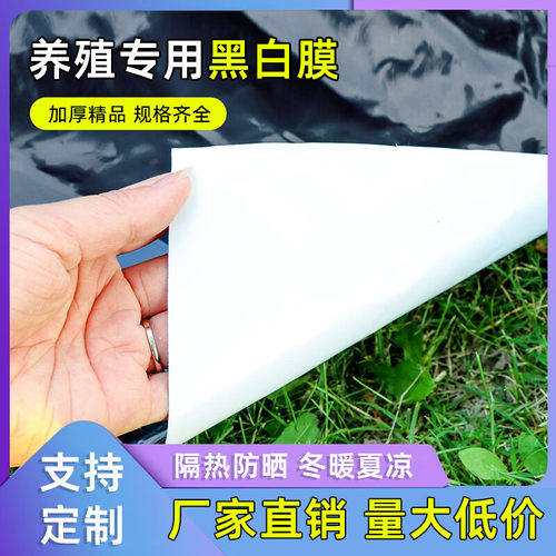 加厚黑白膜抗老化韧性强耐用10年