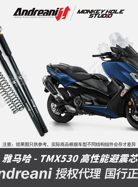 Andreani 安德烈尼 YAMAHA雅马哈 TMAX530 改装避震器 减震器