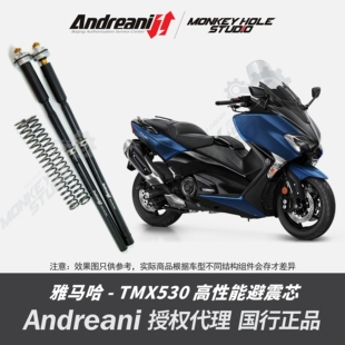 Andreani 安德烈尼 YAMAHA雅马哈 TMAX530 改装避震器 减震器