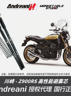 Andreani 安德烈尼 川崎 Z900 RS 改装避震器  减震器 前叉