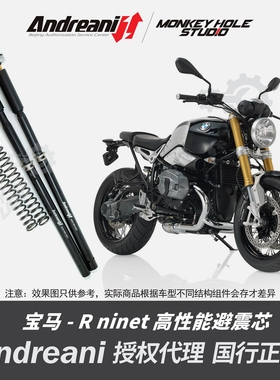 Andreani 安德烈尼 宝马拿铁- R ninet 改装避震器  减震器 前叉