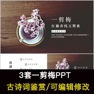 李清照 中国风古诗词鉴赏 一剪梅PPT模板课件有内容可编辑修改
