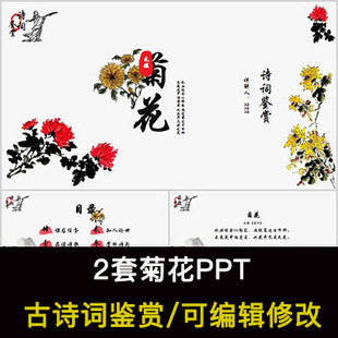 中国风古诗词鉴赏 菊花PPT模板课件有内容可编辑修改 元 稹