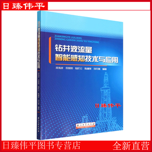 钻井液流量智能感知技术与应用 梁海波, 倪朋勃, 陆灯云, 陈继革, 刘可微, 编著 石油工业出版社9787518365548
