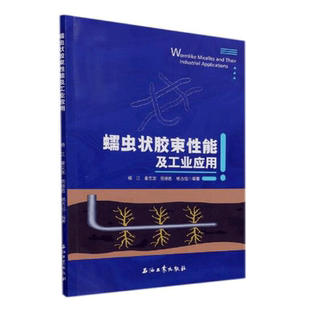 蠕虫状胶束性能及工业应用 杨江，秦文龙，周德胜，杨占旭 编著 D4-2-4 石油工业出版社 9787518344888