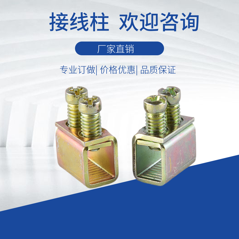 M6螺丝双孔接线柱电器