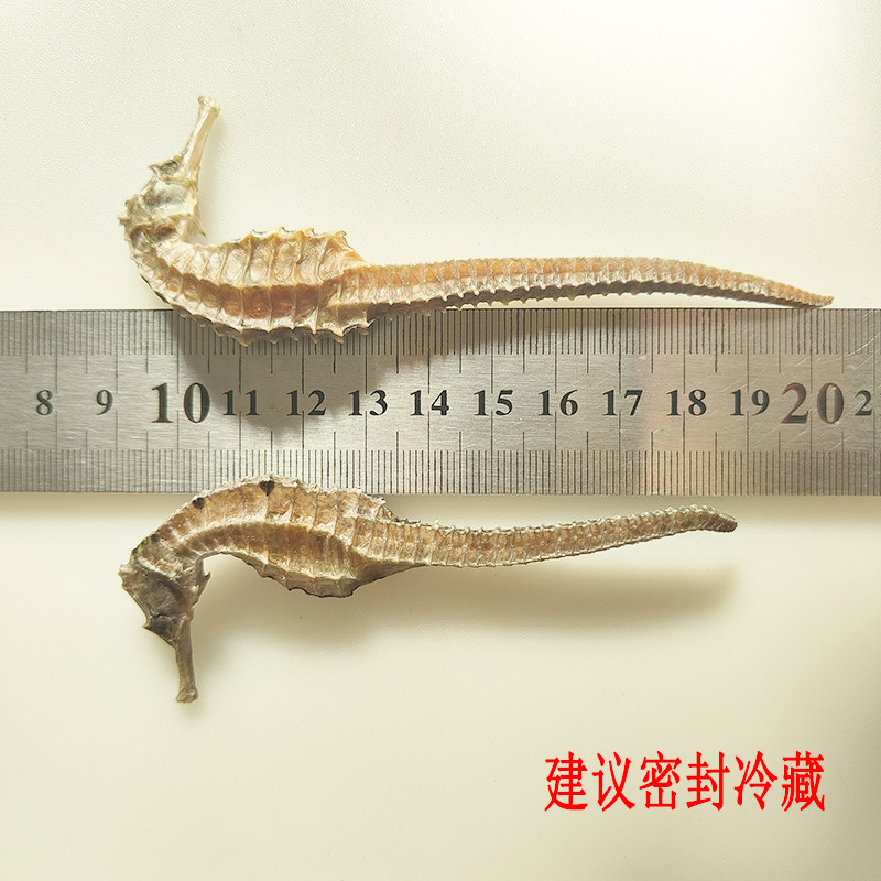 优选 海马 传统三斑海马 正品带标 公母配对干货滋补热销泡酒选择