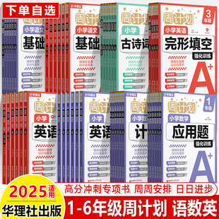 周计划语文基础知识英语阅读强化训练数学计算题华理社小学一二三四五六年级古诗词诵读视频文言文完形填空增强版专项训练小升初