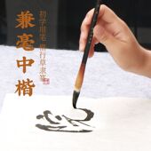 狼羊兼毫毛笔大中小套装 小学生中楷尖毫 成人兼豪一套善琏湖正品