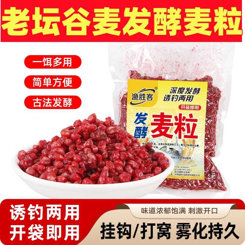 发酵麦粒挂钩草鱼野钓打窝料