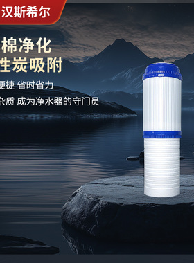 德国汉斯希尔家用净水器pp棉滤芯自来水过滤器001/003/015/032用