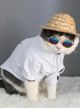 宠物狗猫头饰小帽子草帽遮阳泰迪巴哥猫咪项链变身农夫拍照道具