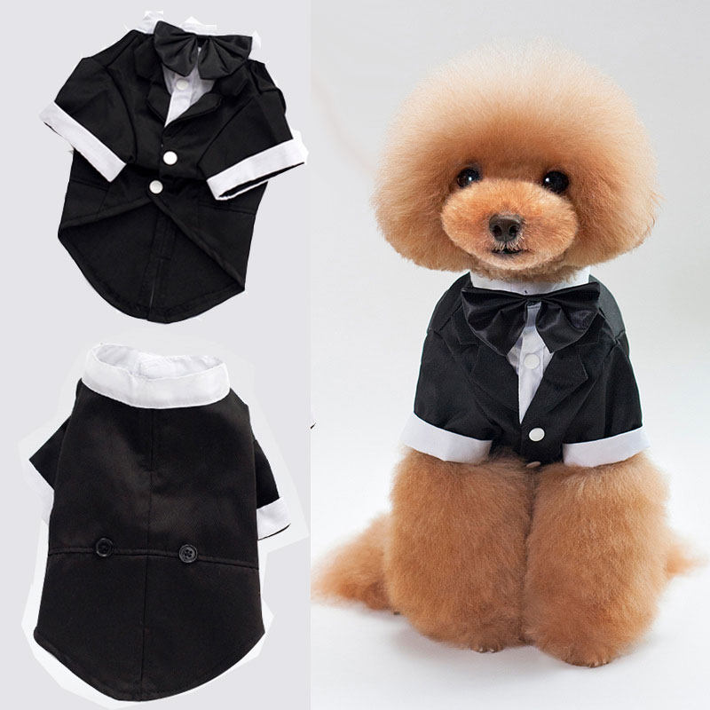 新款狗狗西装礼服婚礼外套蝴蝶结领结春夏薄款猫咪西服二脚衣帅气