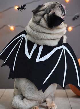 新款狗狗猫猫衣服万圣节黑色蝙蝠翅膀胸背衣可爱搞鬼饰品拉风扮酷